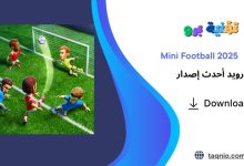 Mini Football
