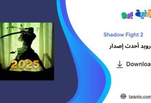 Shadow Fight 2