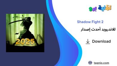 Shadow Fight 2