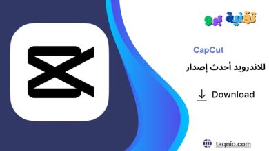 CapCut