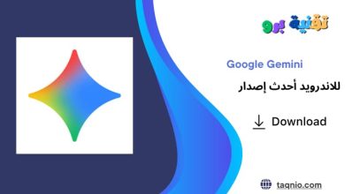 Google Gemini