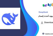 DeepSeek
